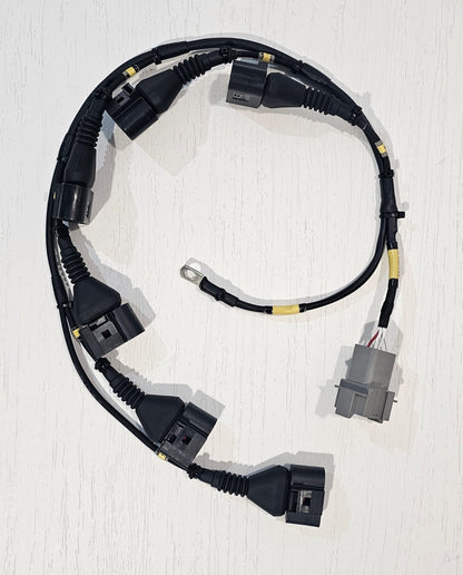 6 cylinder VAG Coil loom + Coil's