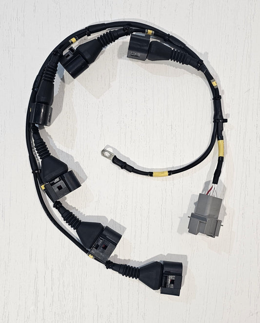 6 cylinder VAG Coil loom + Coil's